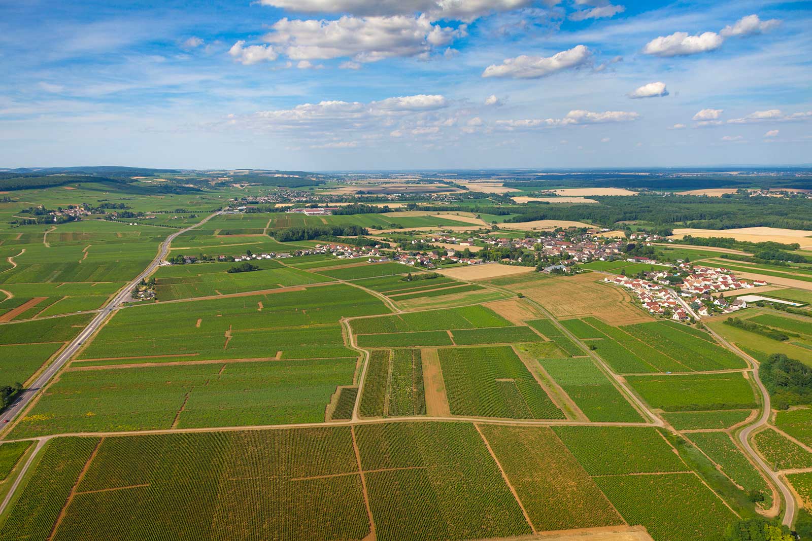 An aerial view of Chorey-les-Beaune. Note the flatness: this is the Côte de Beaune? It sure is. ©BIVB / Aurélien Ibanez