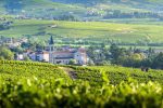 A view over Morgon in the hills of Beaujolais