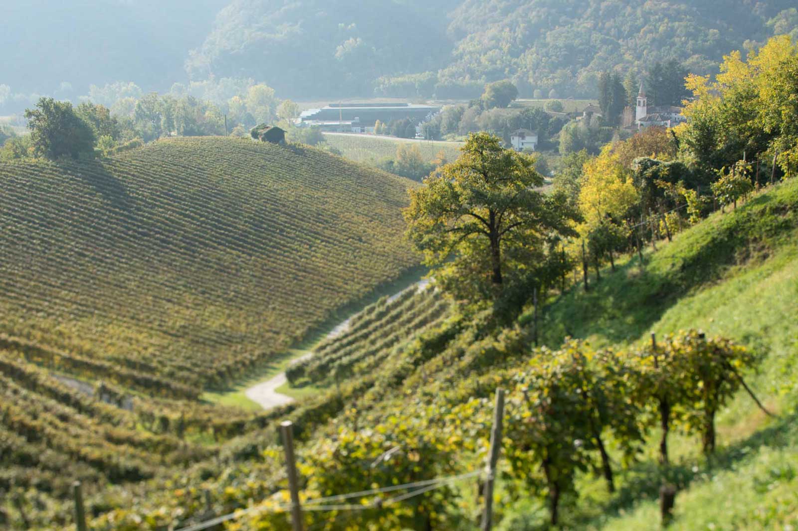 A view over the Rive di Campea near Valdobbiadene, Italy. ©Kevin Day/Opening a Bottle