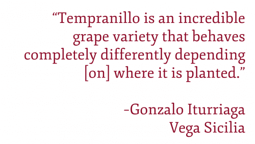 Gonzalo Iturriaga quote: “Tempranillo is an incredible grape variety that behaves completely differently depending [on] where it is planted.”