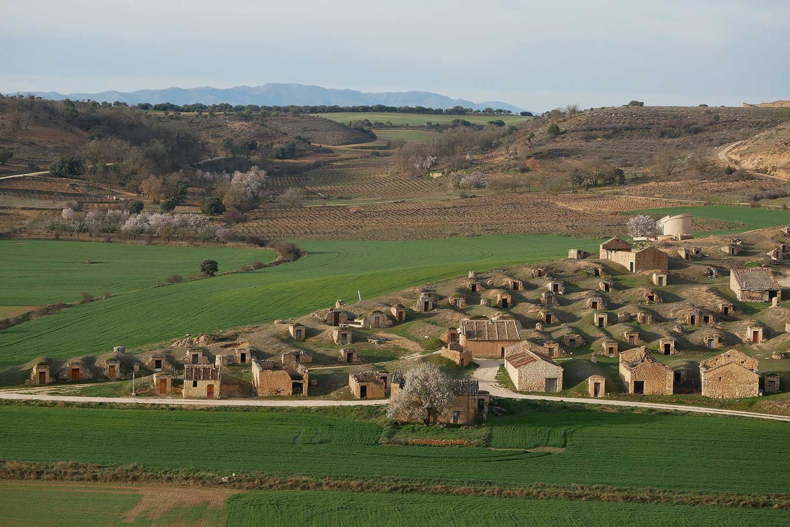 Looking over the landscape of Ribera del Duero. ©José Berdon