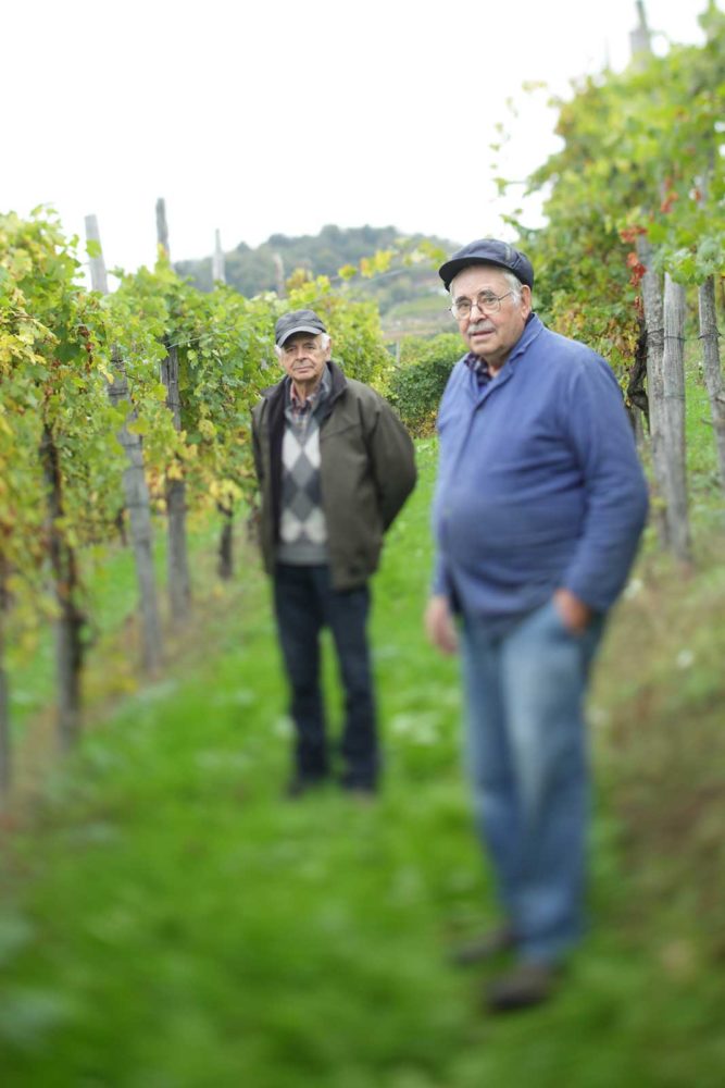 Giancarlo (left) and Marco Petterino (right) among their vines in Gattinara. ©Clay McLachlan/claymclachlan.com for Polaner Selections