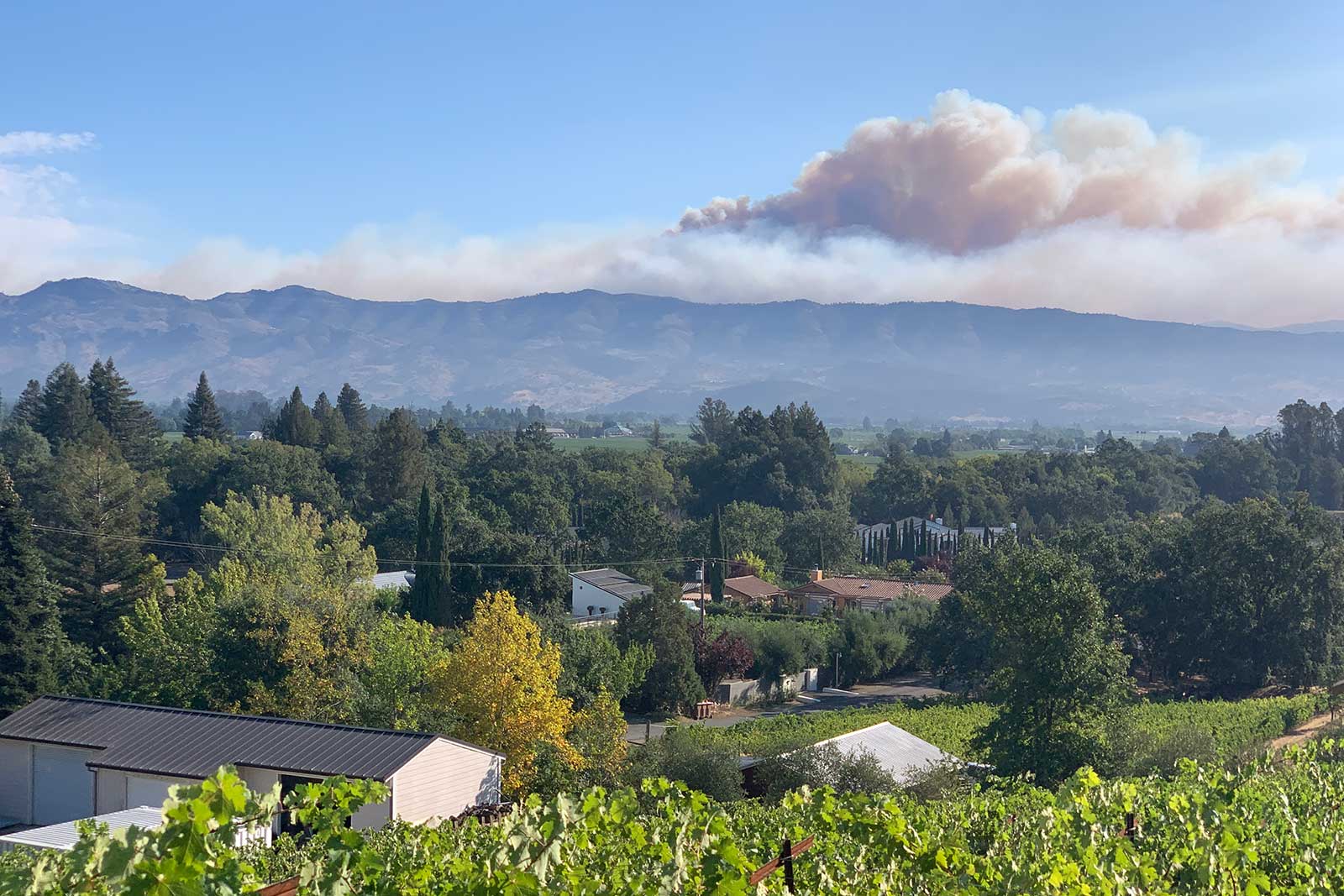 The LNU Lightning Complex Fire burns outside Napa in the late summer of 2020. ©Matthiasson Wines