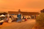 Smoke from the LCU Lightning Complex and Glass Fires tilted the skies over Napa ominously orange for weeks on end. ©Steve Matthiasson