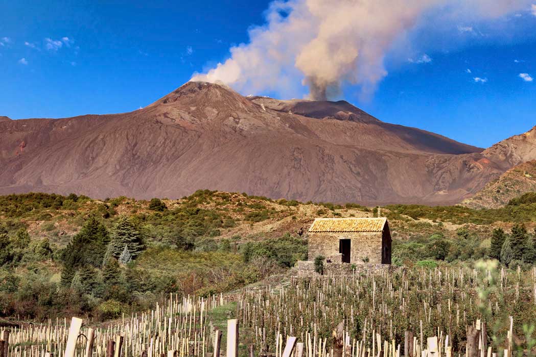 In a frequent state of smoldering, Mount Etna provides an ever-present reminder of the soil beneath the vineyards. ©Benanti