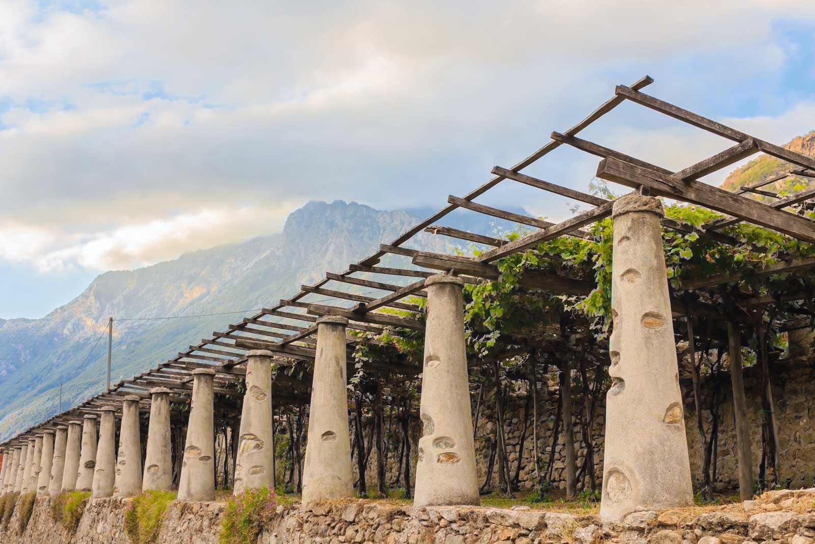 The stone columns that hold up the pergola vines of Carema's terraced vineyards. Stock photo.