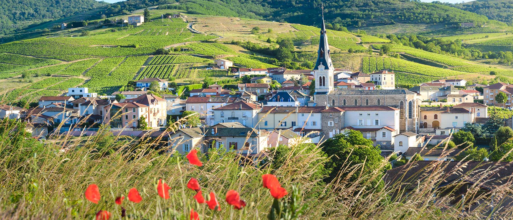 Beaujolais, France