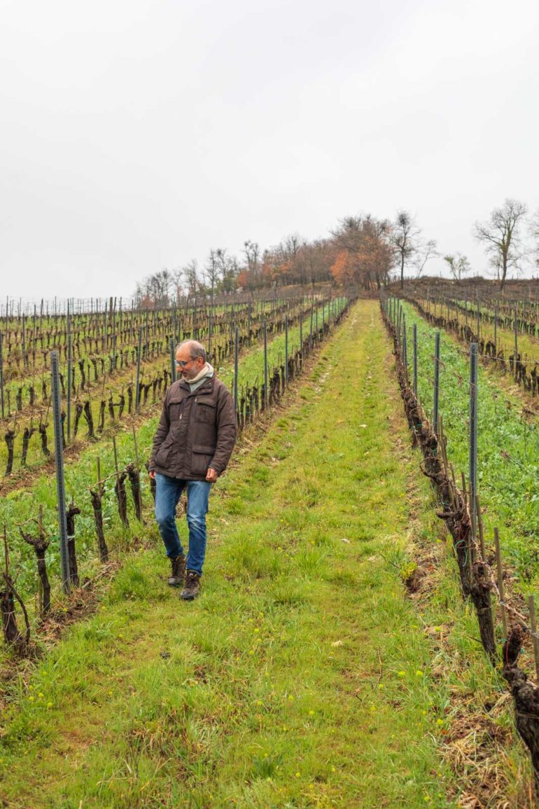 Poggerino's Piero Lanza in his vineyard. ©Kevin Day / Opening a Bottle