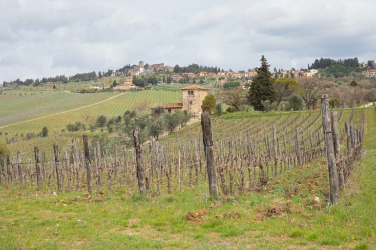 A view over Fontodi's vineyards and the village of Panzano in Chianti, Tuscany. ©Kevin Day/Opening a Bottle