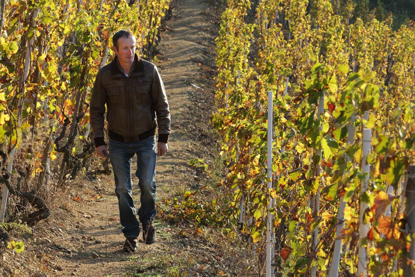 Winemaker Vincent Paris strolling through one of his Cornas vineyards. ©Clay McLachlan/claymclachlan.com for Polaner Selections