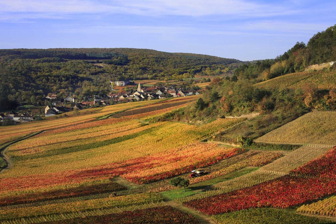 A view over the vineyards of Saint-Aubin. Stock photo.