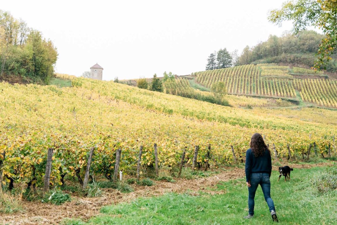 Natural winemaker Alice Bouvot walks among her vines in the Jura of eastern France. / ©Cecilia Magnusson