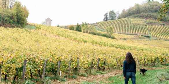Natural winemaker Alice Bouvot walks among her vines in the Jura of eastern France. / ©Cecilia Magnusson