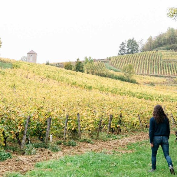 Natural winemaker Alice Bouvot walks among her vines in the Jura of eastern France. / ©Cecilia Magnusson