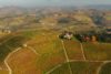 The Bricco Boschis vineyard in Barolo, where Cavallotto sources some of their Nebbiolo grapes for their Langhe Nebbiolo. ©Cavallotto