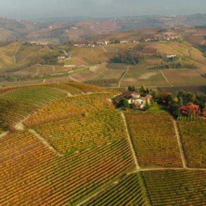 The Bricco Boschis vineyard in Barolo, where Cavallotto sources some of their Nebbiolo grapes for their Langhe Nebbiolo. ©Cavallotto
