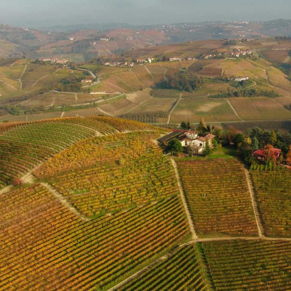 The Bricco Boschis vineyard in Barolo, where Cavallotto sources some of their Nebbiolo grapes for their Langhe Nebbiolo. ©Cavallotto