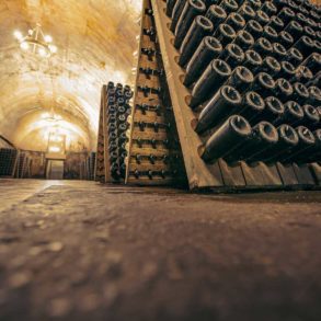 A Champagne Cellar with bottles in riddling racks.