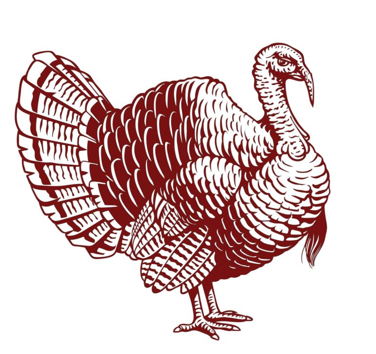 Thanksgiving & Wine icon: a red turkey ©Opening a Bottle