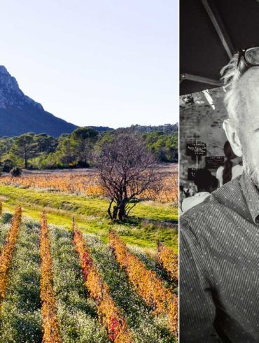 The vineyards of Pic St. Loup and wine writer Andrew Jefford. ©Photo by John Jefford