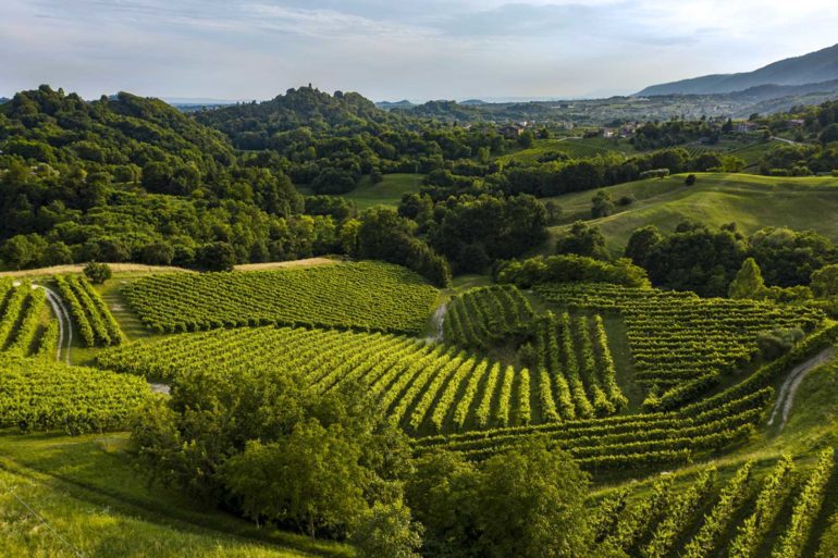 A view over the rolling terrain of the Asolo Prosecco DOCG zone. ©Consorzio Asolo Montello