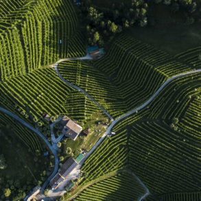 The undulating terrain of Asolo Prosecco qualifies as heroic viticulture on some steep pitches. ©Consorzio Asolo Montello