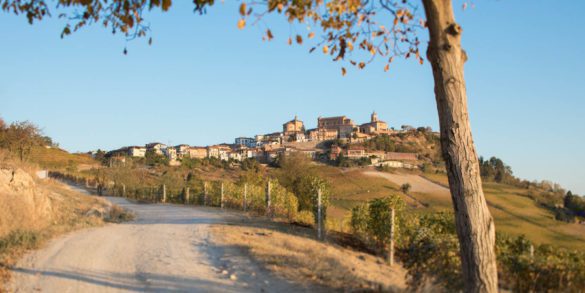 The town of La Morra crowns a hill of Barolo vineyards in Piedmont, Italy. ©Kevin Day/Opening a Bottle