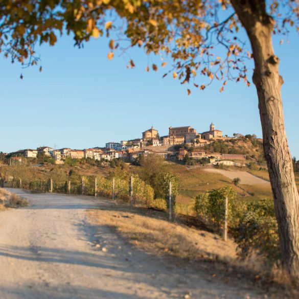 The town of La Morra crowns a hill of Barolo vineyards in Piedmont, Italy. ©Kevin Day/Opening a Bottle