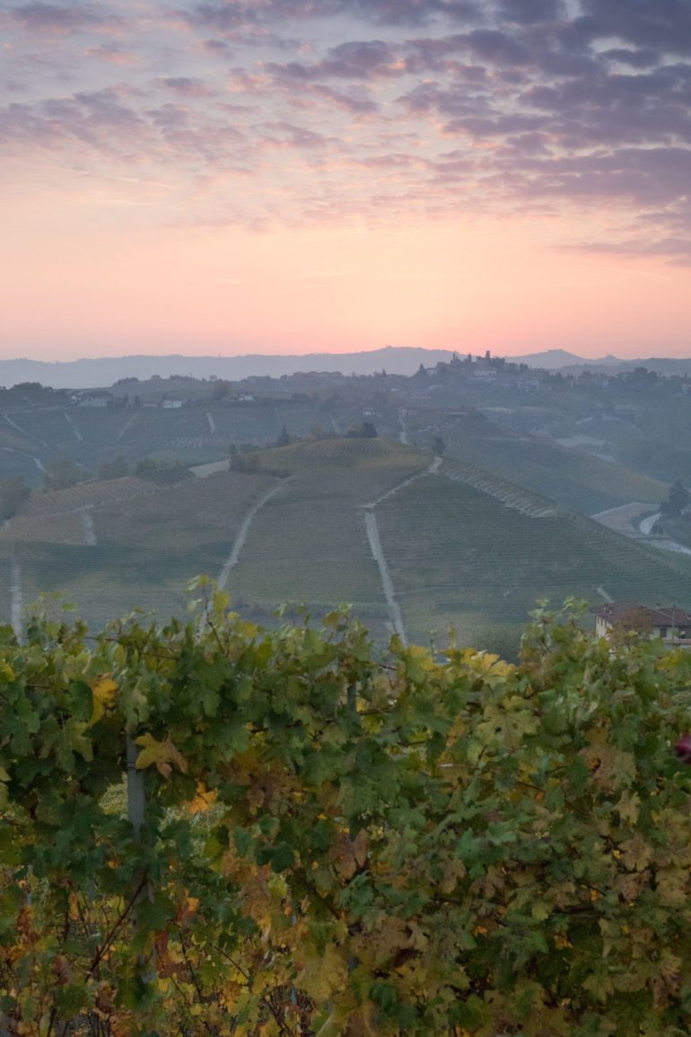 Sunrise over the vineyards of Barbaresco, Italy. ©Kevin Day/Opening a Bottle