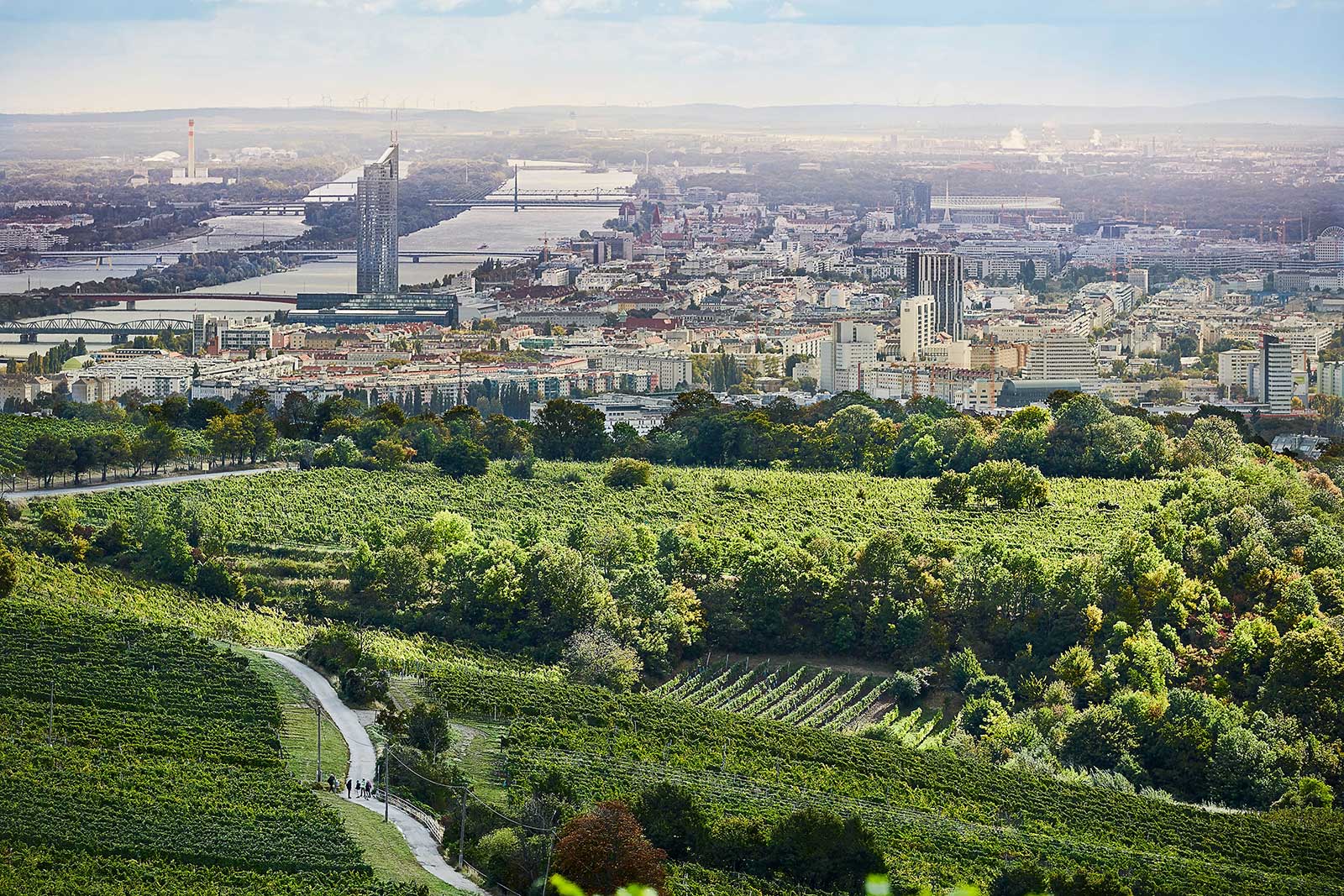 Overlooking the Nussberg vineyards, Vienna and the Danube River. ©Wieninger/Winebow