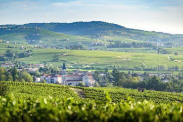 The vineyards of Morgon, France.