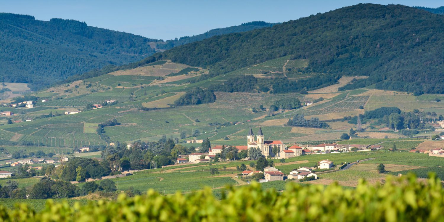 A view over the vineyards of Régnié in Beaujolais, France.