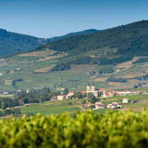 A view over the vineyards of Régnié in Beaujolais, France.