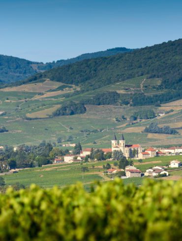 A view over the vineyards of Régnié in Beaujolais, France.