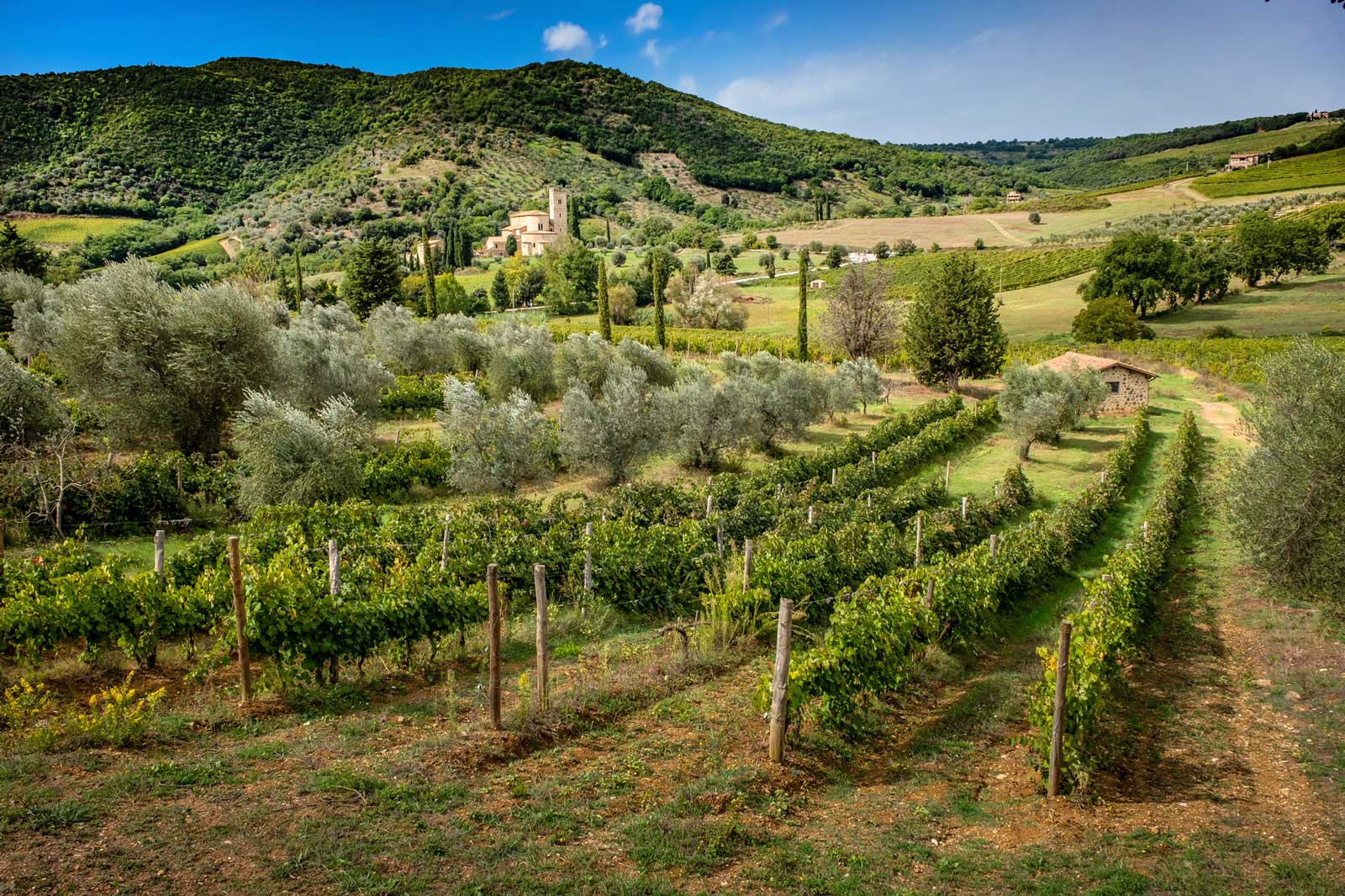 The Abbey of Sant'Antimo, Montalcino, Italy