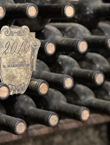 Wine bottles in the cellar of Il Marroneto. ©Kevin Day/Opening a Bottle