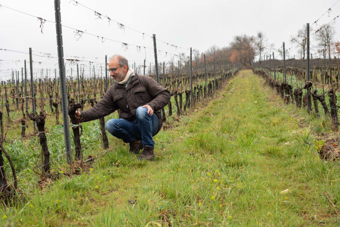 Piero Lanza tending his vineyard in Radda in Chianti. ©Kevin Day/Opening a Bottle