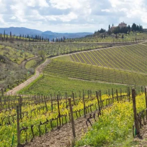 Castello di San Donato in Perano near Gaiole.