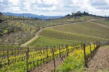 Castello di San Donato in Perano near Gaiole.