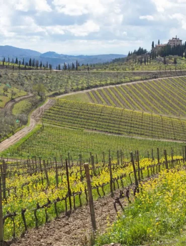 Castello di San Donato in Perano near Gaiole.