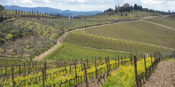 Castello di San Donato in Perano near Gaiole.