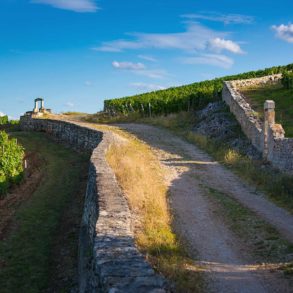 A view of the Grand Cru Clos des Lambray (left) in Morey-Saint-Denis. Stock photo.