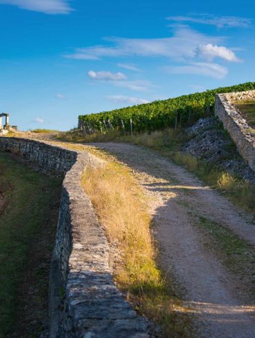 A view of the Grand Cru Clos des Lambray (left) in Morey-Saint-Denis. Stock photo.