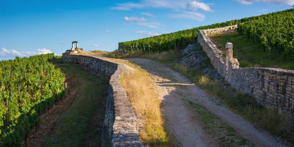 A view of the Grand Cru Clos des Lambray (left) in Morey-Saint-Denis. Stock photo.