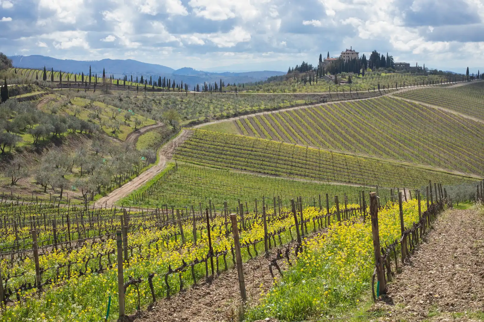 Castello di San Donato in Perano near Gaiole.