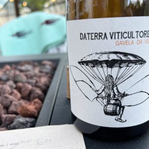 Wine bottle: 2019 Daterra Viticultores Gavela di Vila Viño Bianco ©Kevin Day/Opening a Bottle