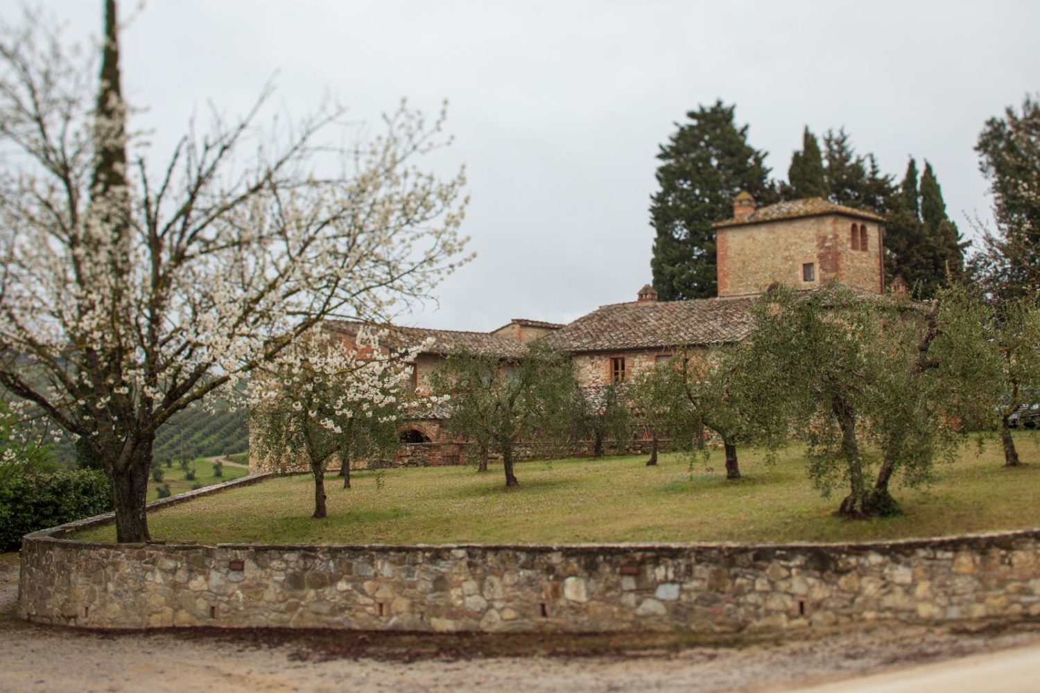 A rainy spring day at Fèlsina. ©Kevin Day/Opening a Bottle