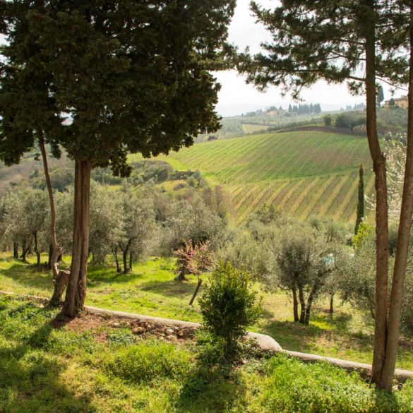 Cigliano di Sopra in San Casciano in Val di Pesa. ©Kevin Day/Opening a Bottle