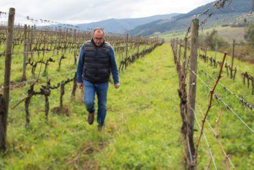 Winemaker Federico Giuntini in his Chianti Rufina vineyard