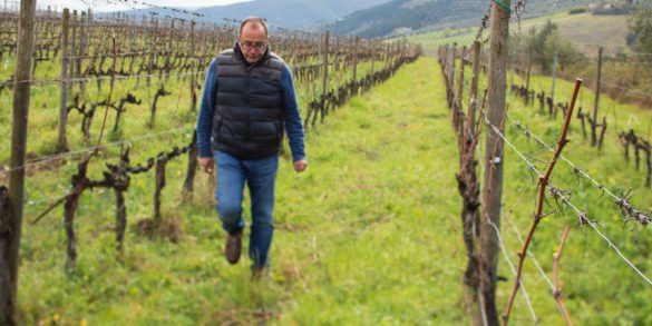 Winemaker Federico Giuntini in his Chianti Rufina vineyard